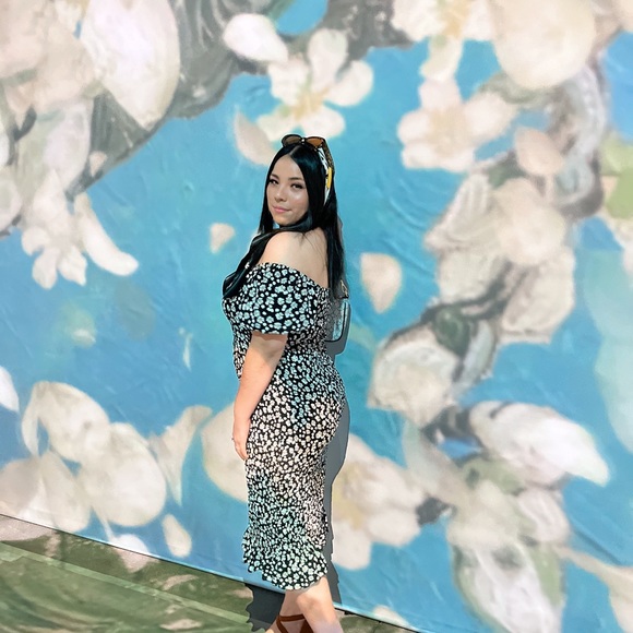 Meet your Posher, Lily - Picture 4 of 12